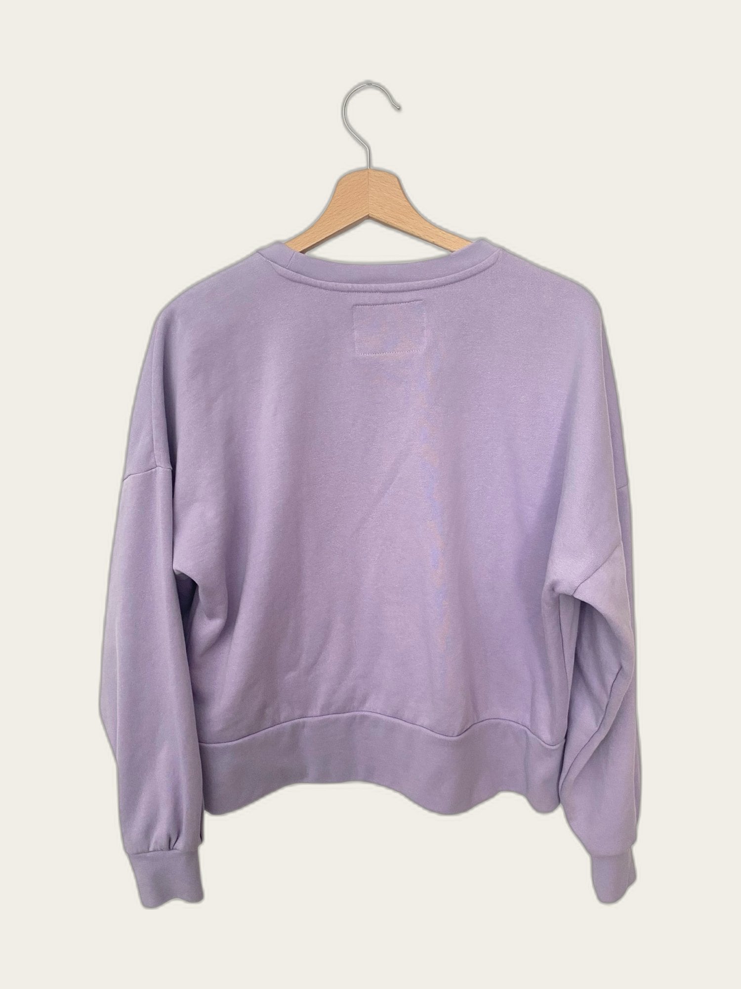 Sweater Paris in zilver opdruk
